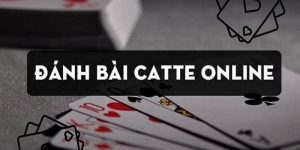 Cách Chơi Bài Catte - Hiểu Đúng Và Khám Phá Các Bí Kíp