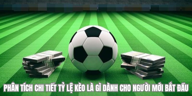 Phân tích chi tiết tỷ lệ kèo là gì dành cho người mới bắt đầu
