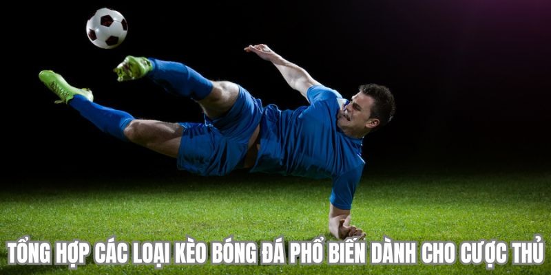 Tổng hợp các loại kèo bóng đá phổ biến dành cho cược thủ