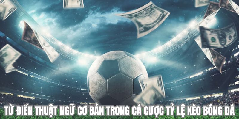 Từ điển thuật ngữ cơ bản trong cá cược tỷ lệ kèo bóng đá