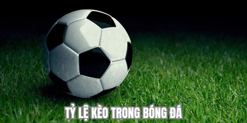 Giải Thích Tỷ Lệ Kèo Trong Bóng Đá Và Cách Đọc Chuẩn Nhất